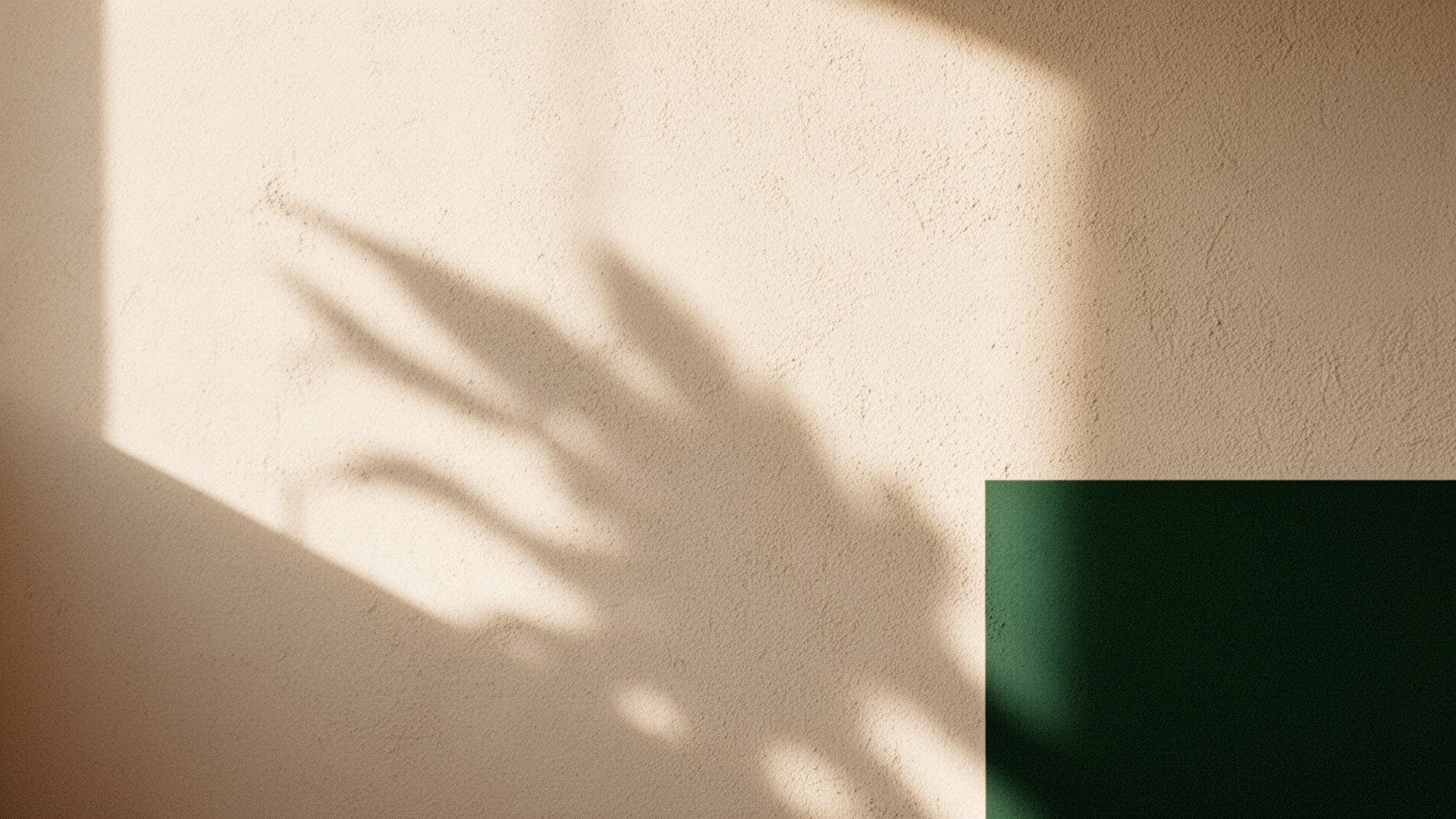 Soft natural light across a textured wall